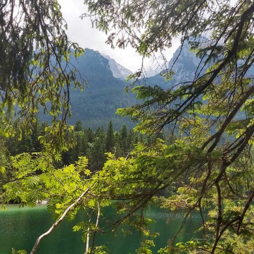 Sommer Retreat für Stimme und Sprache