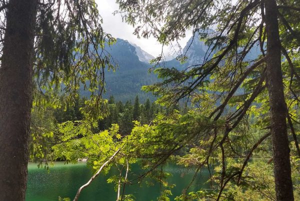 Sommer Retreat für Stimme und Sprache