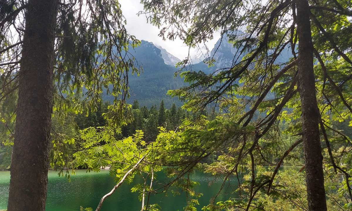 Sommer Retreat für Stimme und Sprache